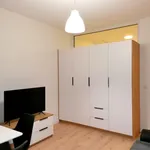 Rent 2 bedroom apartment of 45 m² in Łódź