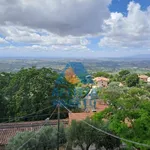 Rent 2 bedroom apartment of 45 m² in Lamporecchio