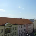 Rent 3 bedroom apartment in České Budějovice