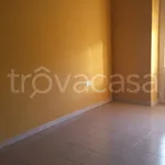 Rent 3 bedroom apartment of 85 m² in Frosinone