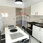 Rent 2 bedroom apartment of 80 m² in 2
 
 Paceco