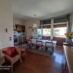 Rent 3 bedroom apartment of 90 m² in Viareggio