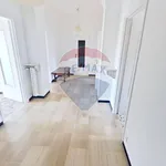 Rent 4 bedroom apartment of 100 m² in Torino