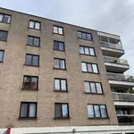 Rent 3 bedroom apartment in Torhout