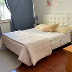 Rent 4 bedroom apartment of 75 m² in Viareggio