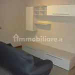 Rent 2 bedroom apartment of 55 m² in Cremona