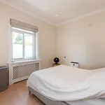 Rent 1 bedroom flat in London