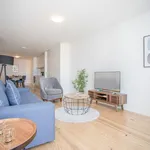 Rent 1 bedroom apartment of 700 m² in Porto