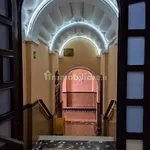 Rent 2 bedroom apartment of 50 m² in Turin