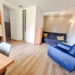 Rent 1 bedroom apartment of 30 m² in Gliwice