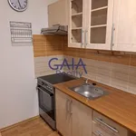 Rent 1 bedroom apartment in Kyjov