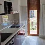 Rent 1 bedroom apartment of 45 m² in Milano