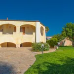 Rent 3 bedroom apartment of 90 m² in olbia