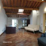 Rent 6 bedroom apartment of 130 m² in Lucca