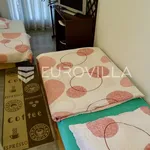 Rent 1 bedroom apartment of 55 m² in Kastav