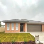 Rent 4 bedroom house in  St Johns Park NSW 2176                        