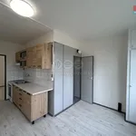 Rent 3 bedroom apartment of 80 m² in Milevsko