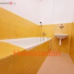 Rent 3 bedroom apartment of 57 m² in Trhový Štěpánov