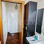 Rent 2 bedroom apartment of 50 m² in Milano