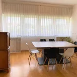 Rent 4 bedroom apartment of 166 m² in Zagreb