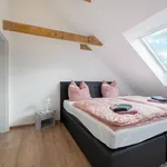 Rent 3 bedroom apartment of 80 m² in Essen