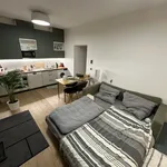 Miete 2 Schlafzimmer wohnung von 38 m² in Munich