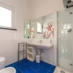 Rent 1 bedroom apartment of 44 m² in Genova