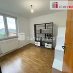 Rent 4 bedroom apartment of 140 m² in Malšovice