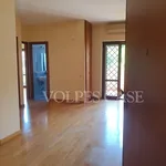 Rent 3 bedroom apartment of 68 m² in Rome