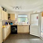 Rent 4 bedroom house in Winchester