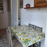 Rent 3 bedroom apartment of 65 m² in Roma