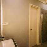 Rent 2 bedroom apartment of 100 m² in Budapest