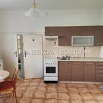 Rent 2 bedroom apartment in České Budějovice