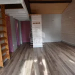 Appartement de 35 m² avec 1 chambre(s) en location à Charlieu