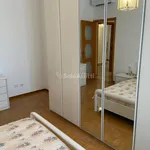 Rent 3 bedroom apartment of 96 m² in Cologno Monzese