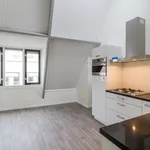 Huur 1 slaapkamer appartement van 40 m² in Hilversum