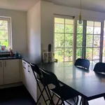 Rent 4 bedroom apartment in Laarne