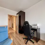 Pronajměte si 3 ložnic/e byt o rozloze 109 m² v Prague