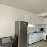 Rent 3 bedroom apartment of 100 m² in Каменица 2