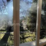 Rent 3 bedroom apartment of 80 m² in Turin