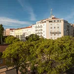 Rent 1 bedroom apartment in Lisbon