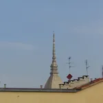 Rent 2 bedroom apartment of 45 m² in Torino