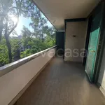 Rent 1 bedroom apartment of 58 m² in Castellanza