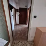 Rent 2 bedroom apartment of 70 m² in bologna