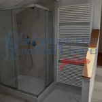 Rent 4 bedroom house of 90 m² in Pisa