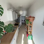 Rent 1 bedroom apartment of 70 m² in Dresden