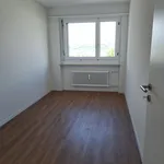 Rent 4 bedroom apartment in Pratteln