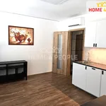 Rent 1 bedroom apartment of 34 m² in Brno