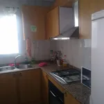 Alquilar 4 dormitorio apartamento en Burjassot