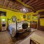 Rent 3 bedroom apartment of 80 m² in Capannori